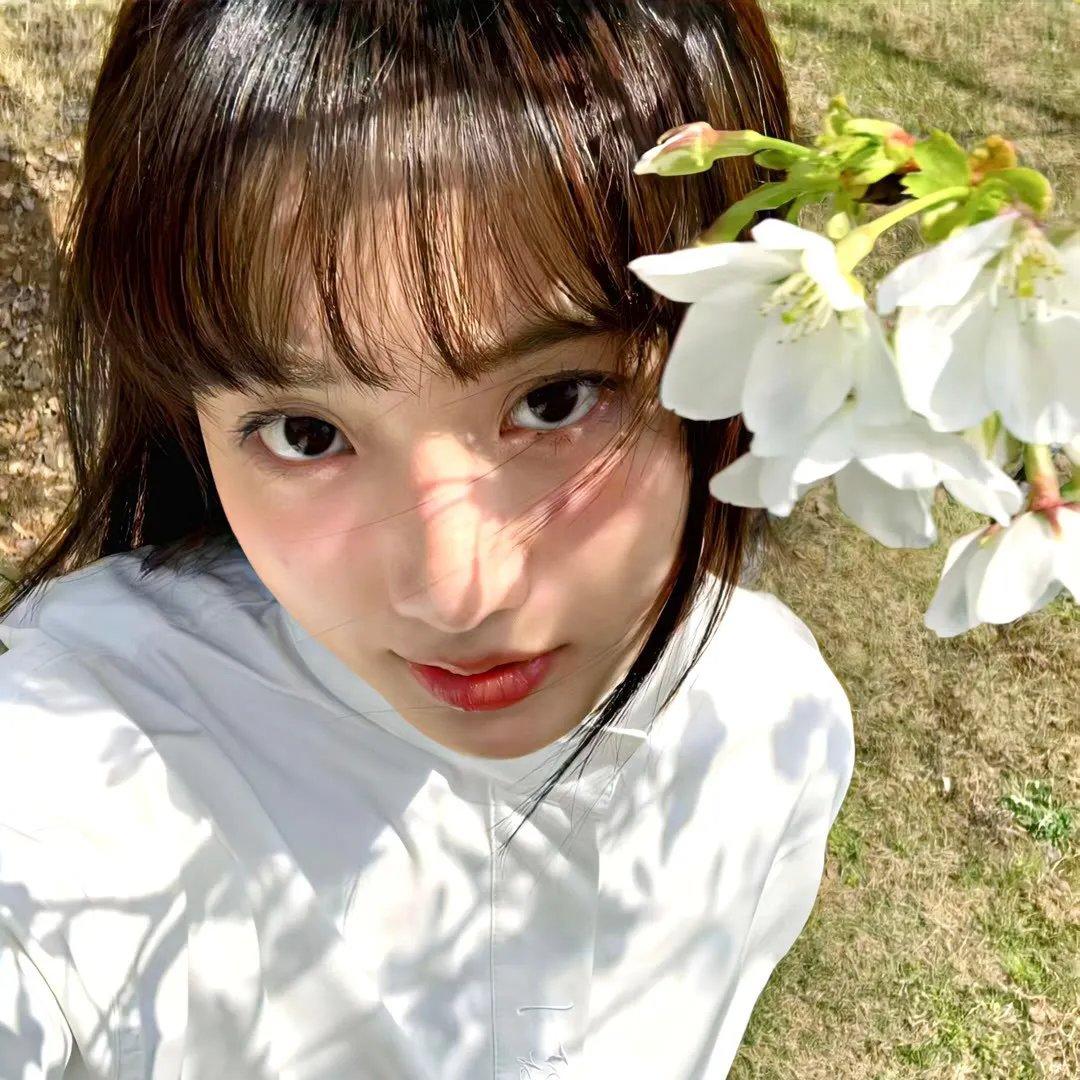 国土安全第六季